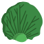 Radicchio Leaf icon