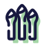 Asparagus icon