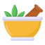 Herbal Treatment icon