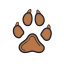 Dog Paw icon