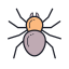 Aranha icon