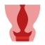 宫颈 icon