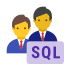 Type de peau 7 du groupe d&#39;administrateurs de base de données SQL icon