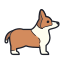 柯基犬 icon