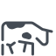 Cow Breed icon