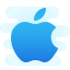 Apple Logo icon