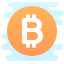 Bitcoin icon