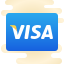 Visa icon