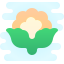 Couve-flor icon