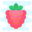 覆盆子 icon