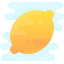 Lemon icon