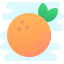 Laranja icon