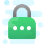 Password icon