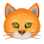Кошачье лицо icon