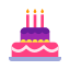 誕生日ケーキ icon