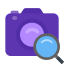 Camera Identification icon