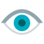 Eye icon