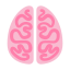 Cerveau icon