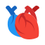 Coeur médical icon