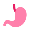 Stomach icon