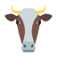 Vache icon