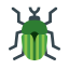 Insecto icon