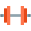 Dumbbell icon