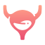 Bladder icon