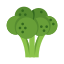 Brócoli icon