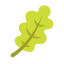 Oak Leaf icon