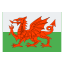 Wales icon