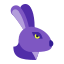 Année du lapin icon