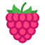 Framboise icon