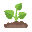 Sprout icon