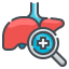 Liver icon