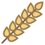 Wheat icon