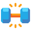 Dumbbells icon