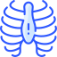 Ribs icon