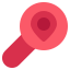 Magnifier icon