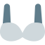 Nursing Bra icon