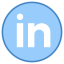 LinkedIn cerchiato icon