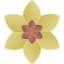 Spa Flower icon