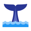 尾鲸鱼 icon