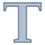 Type icon