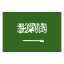 サウジアラビア icon