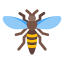 Hornet icon