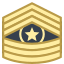 Command Sergeant Major CSM icon