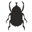 Scarab icon