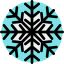 Fiocco di neve icon