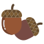 Acorn icon